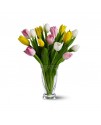 Quinze tulipes mélangées